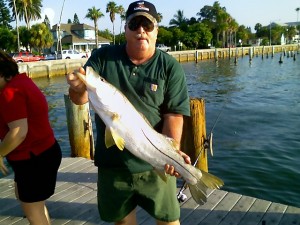 Tampa Snook