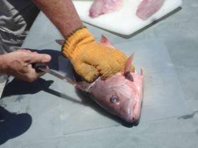 cleaning-fish