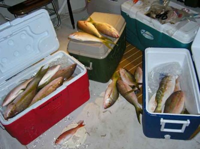 coolers
