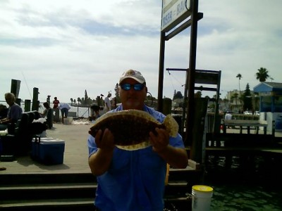 flounder-nov