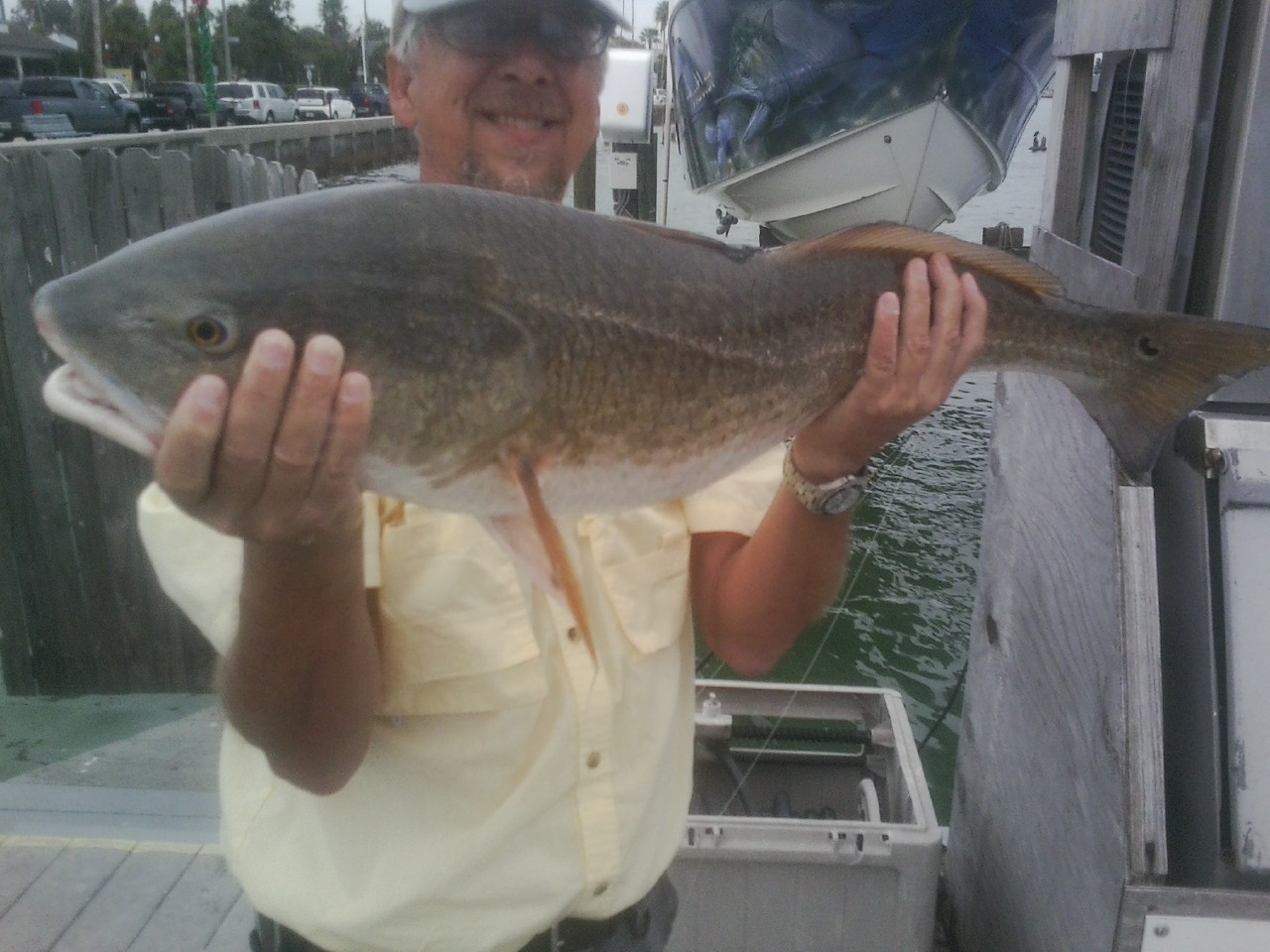 Tampa Fishing 2014.