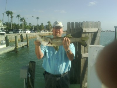 snook