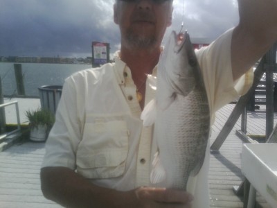 bigsnapper0913151013