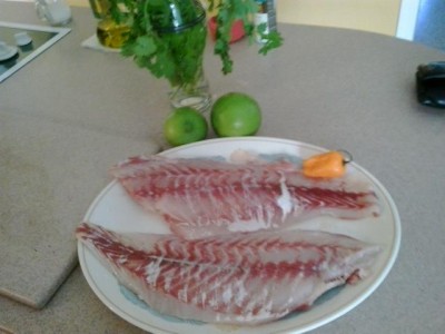 fillets15092095001
