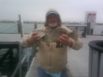 grouper0102160920