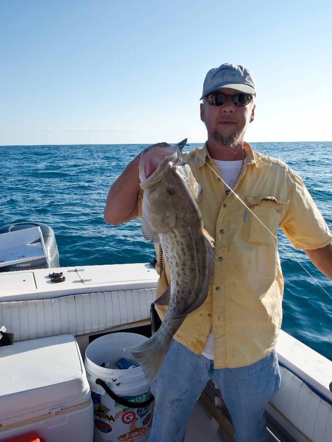 Steve's Grouper Steve's Grouper